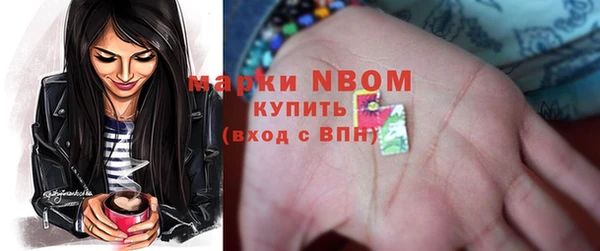 индика Алзамай
