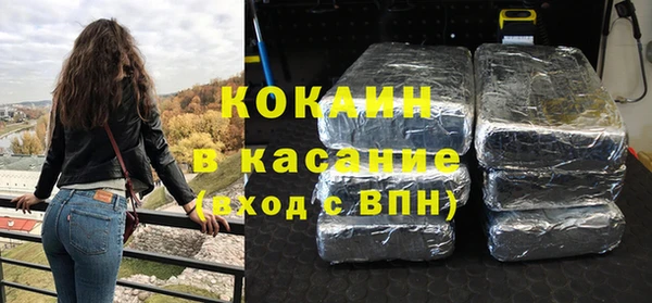 индика Алзамай