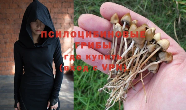 крисы Алексеевка