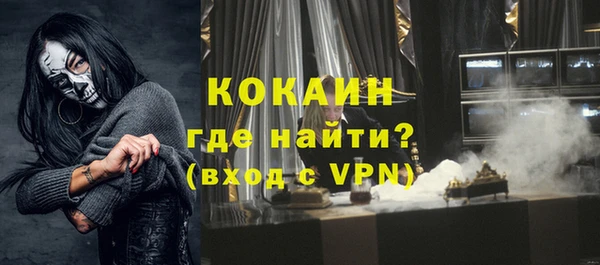 индика Алзамай