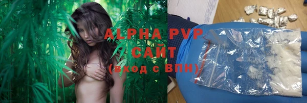 индика Алзамай