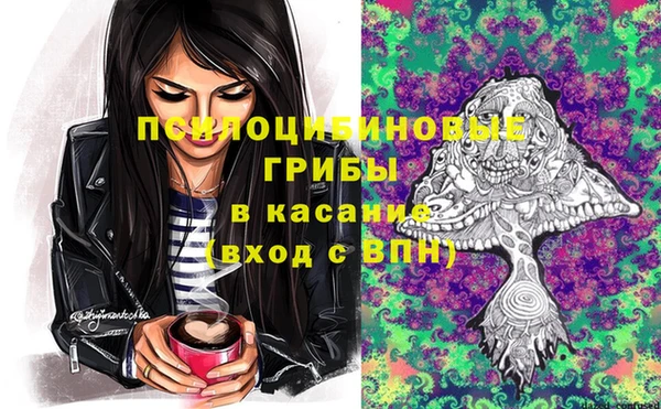 индика Алзамай